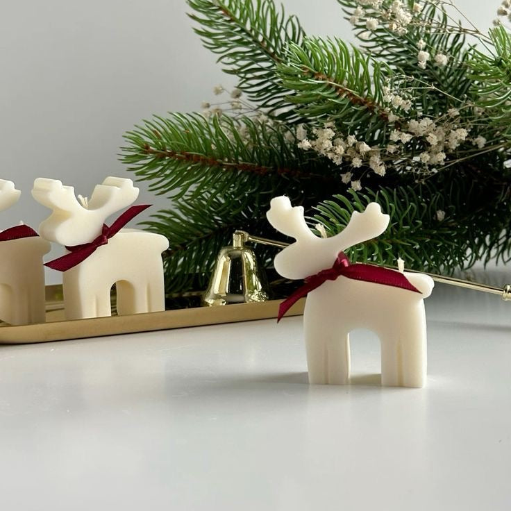 𝐑𝐄𝐍𝐎 𝐏𝐄𝐐𝐔𝐄𝐍̃𝐎